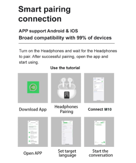 Alpha-TS 750 ChatTranslate Earbuds